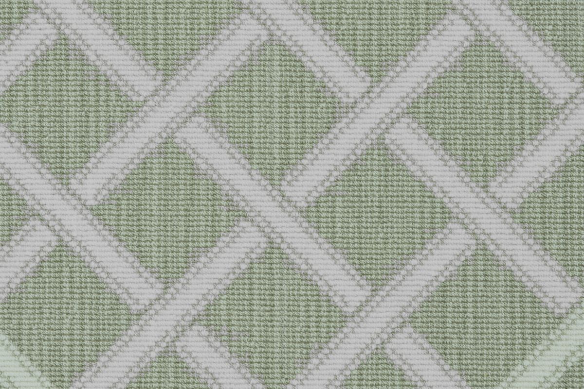 12 Olive