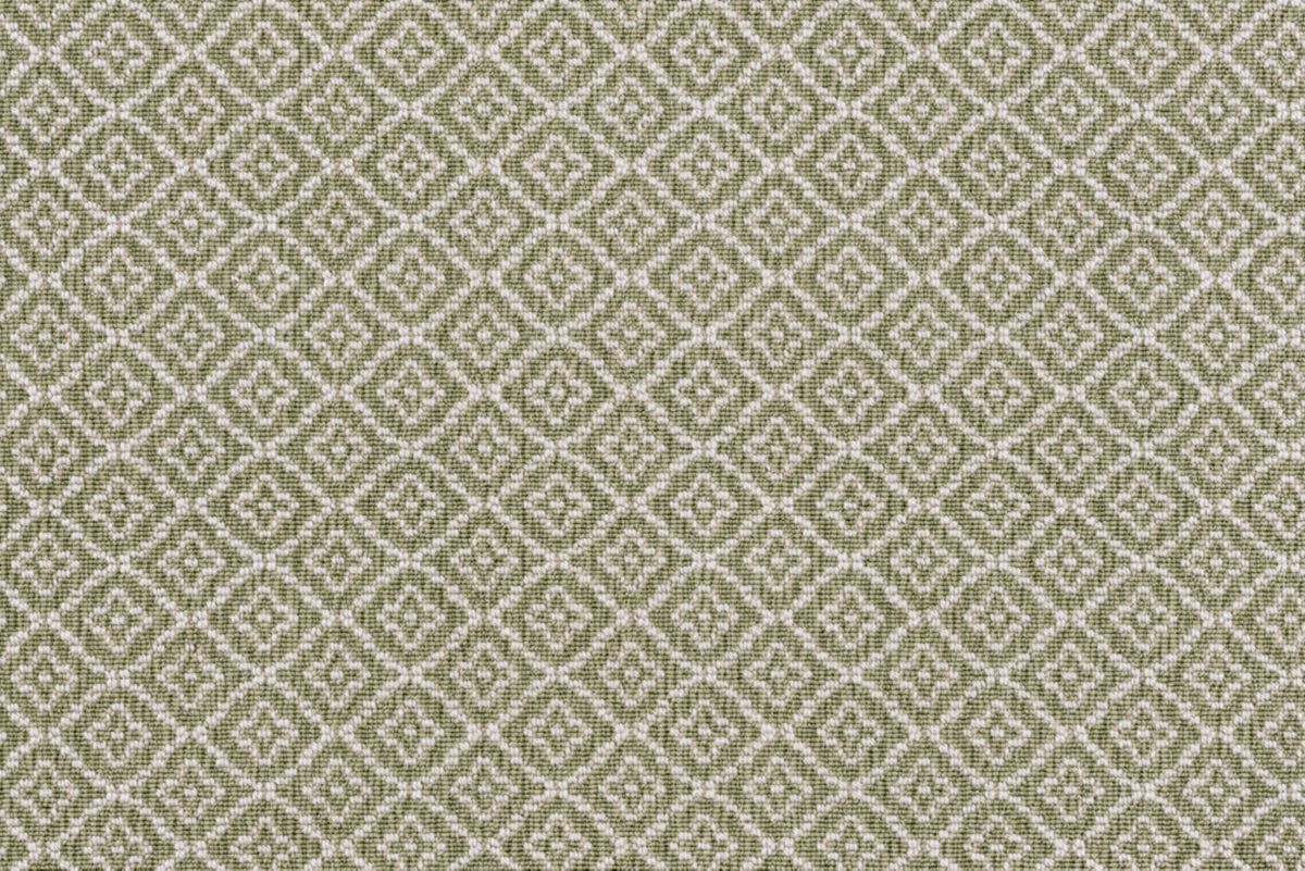 6 Lichen