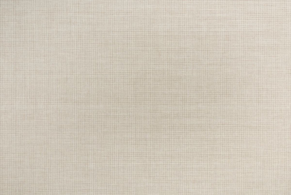 91 Ivory