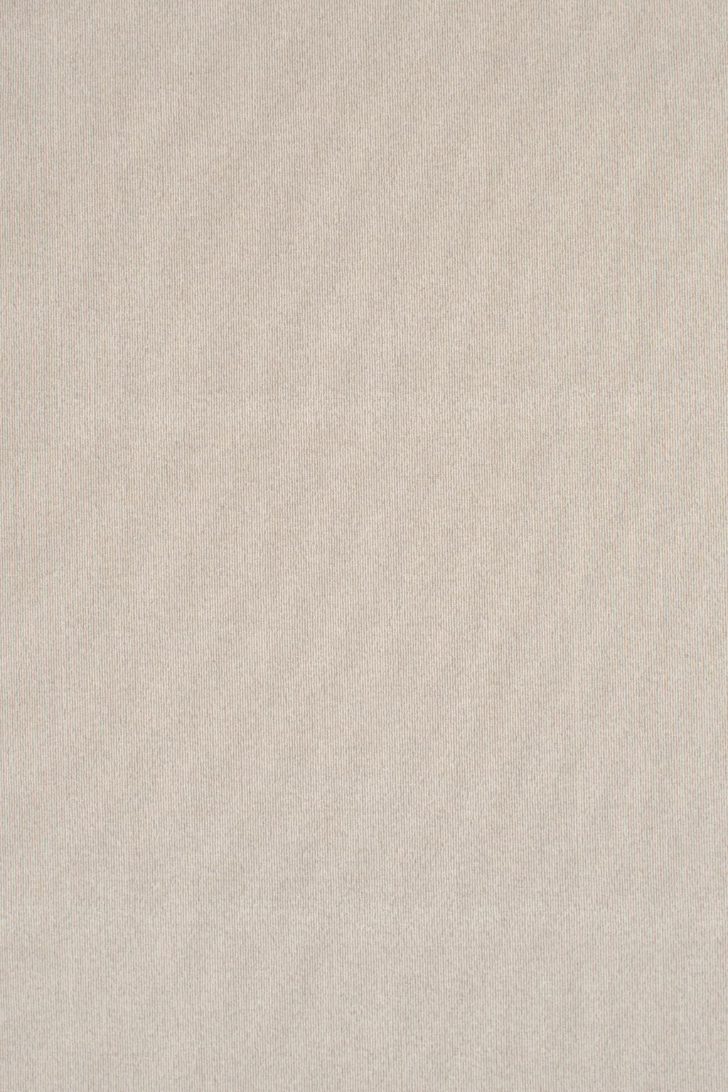 974 Sand Dollar