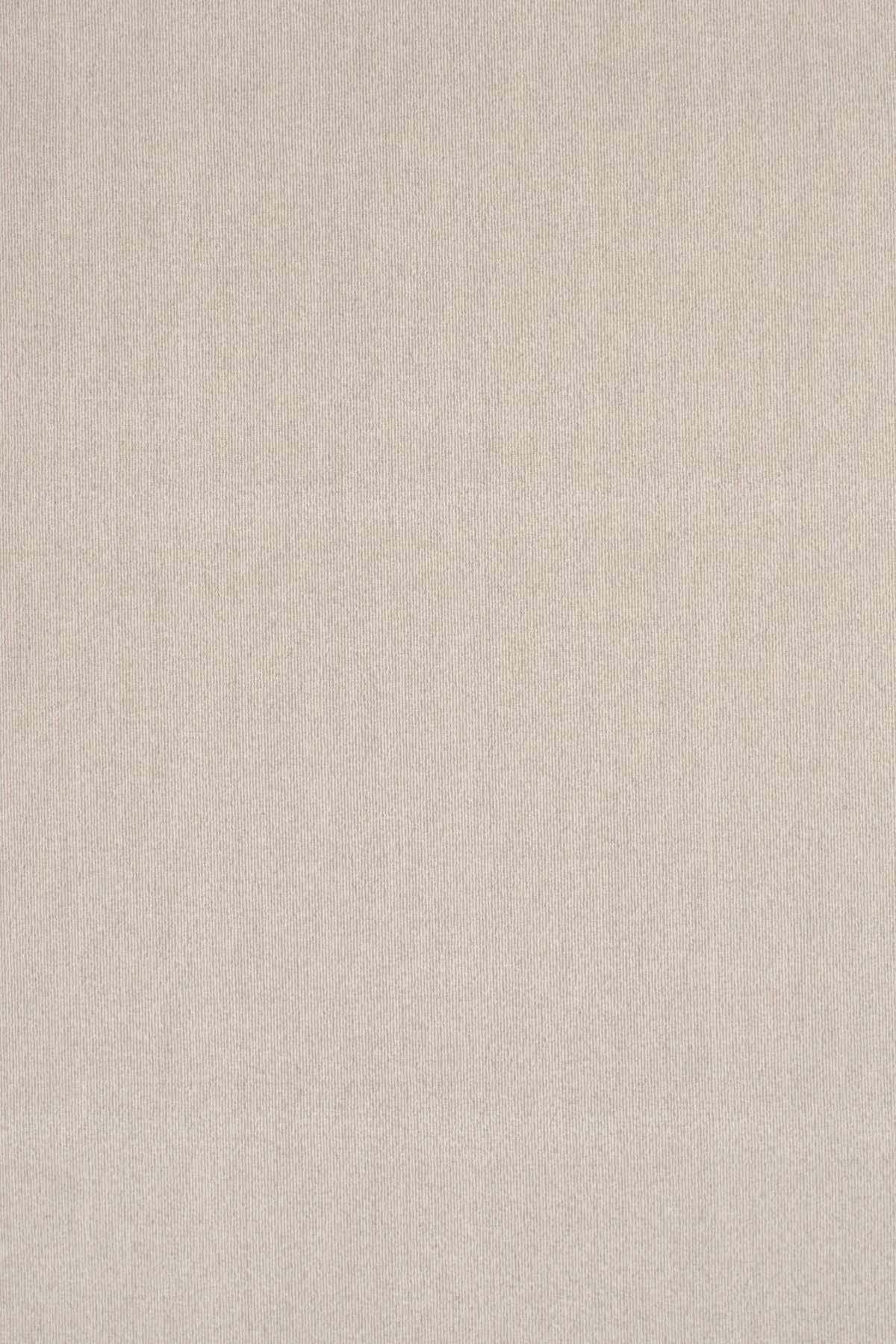 974 Sand Dollar