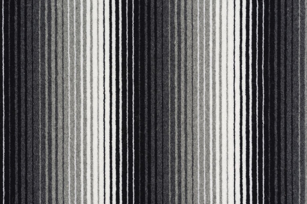 9 Zebra