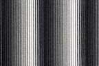 9 Zebra